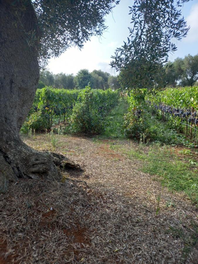 Villa Agreste Ostuni Ngoại thất bức ảnh